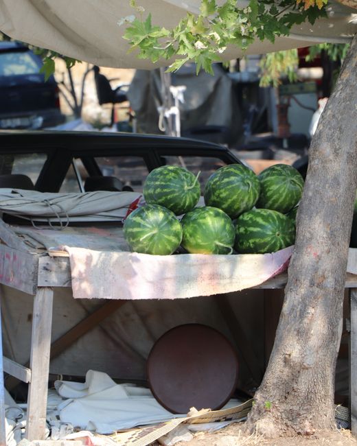 Japan's Cubed Conundrum: The Square Watermelon